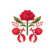 Lychee